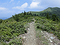 buna069_thumb.png