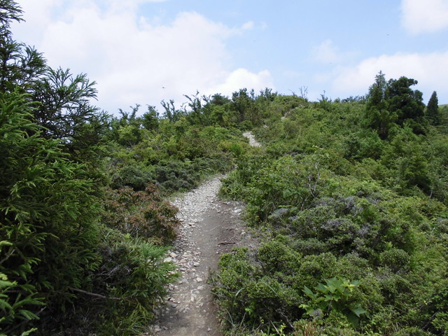 buna070.jpg