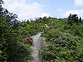 buna070_thumb.png