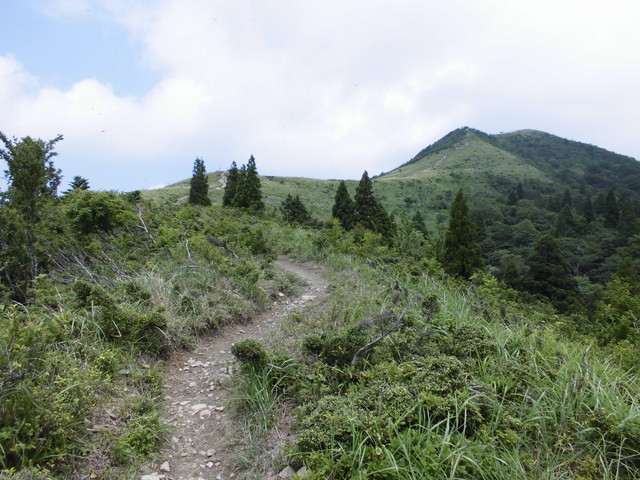 buna071.jpg