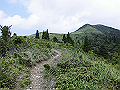 buna071_thumb.png