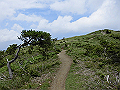 buna072_thumb.png