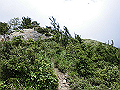 buna075_thumb.png