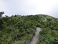 buna076_thumb.png