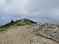 buna077_thumb.png