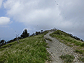buna078_thumb.png