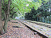 daimonji06_thumb.jpg