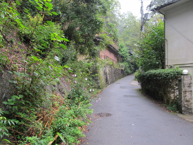 daimonji13.jpg