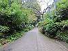 daimonji15_thumb.jpg