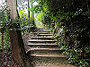 daimonji24_thumb.jpg