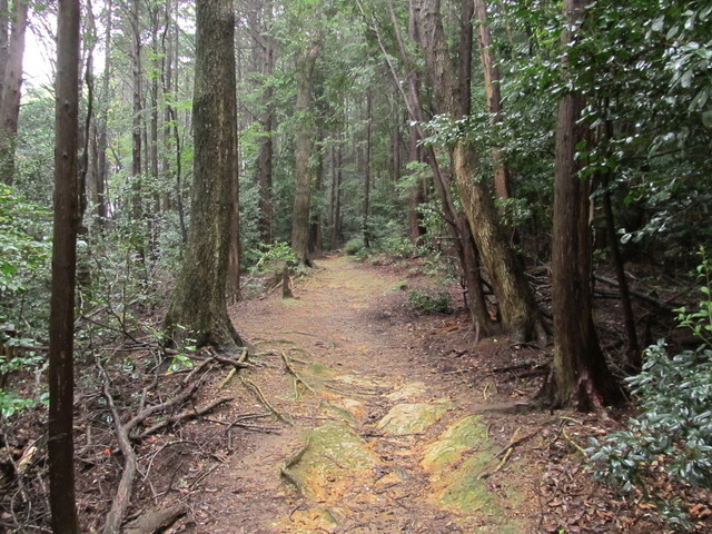 daimonji28.jpg