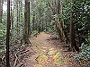 daimonji28_thumb.jpg