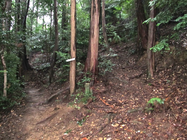 daimonji29.jpg
