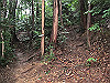 daimonji29_thumb.jpg