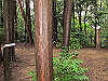 daimonji30_thumb.jpg