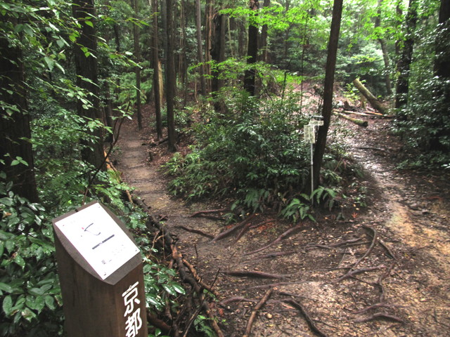 daimonji31.jpg