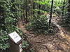 daimonji31_thumb.jpg