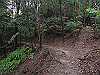 daimonji32_thumb.jpg