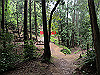 daimonji33_thumb.jpg