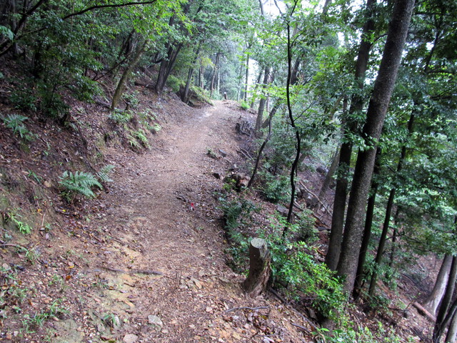 daimonji37.jpg