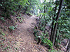 daimonji37_thumb.jpg