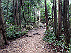 daimonji38_thumb.jpg