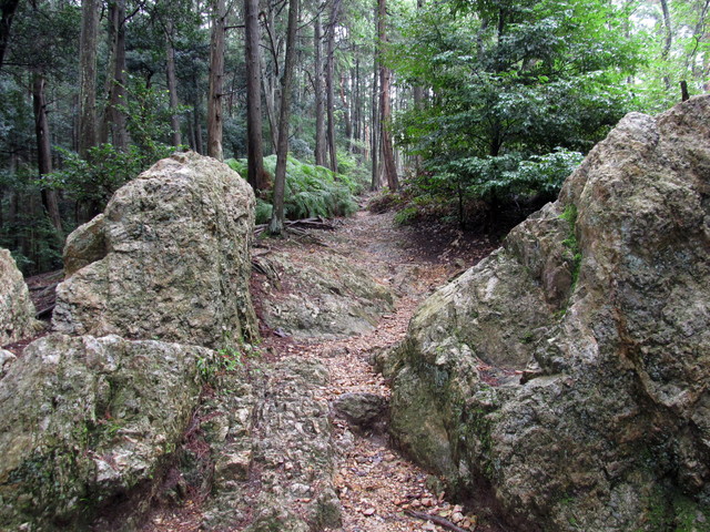 daimonji39.jpg