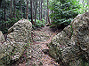 daimonji39_thumb.jpg