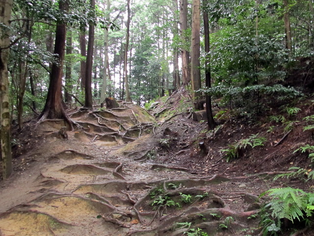 daimonji41.jpg