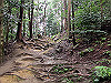 daimonji41_thumb.jpg