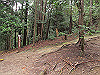 daimonji42_thumb.jpg