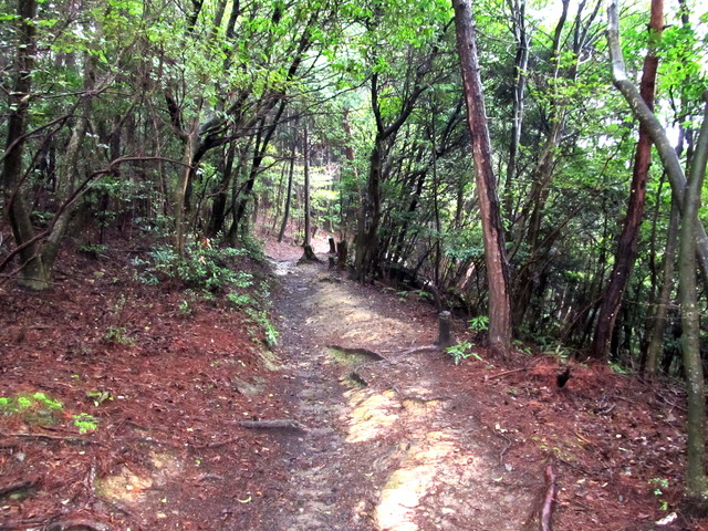 daimonji43.jpg