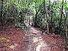 daimonji43_thumb.jpg