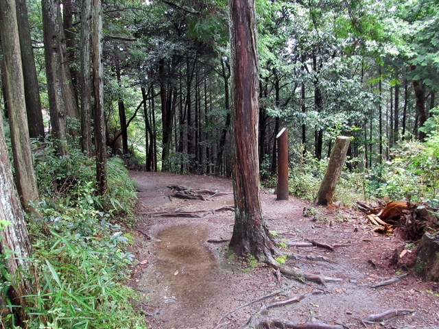 daimonji44.jpg