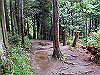 daimonji44_thumb.jpg