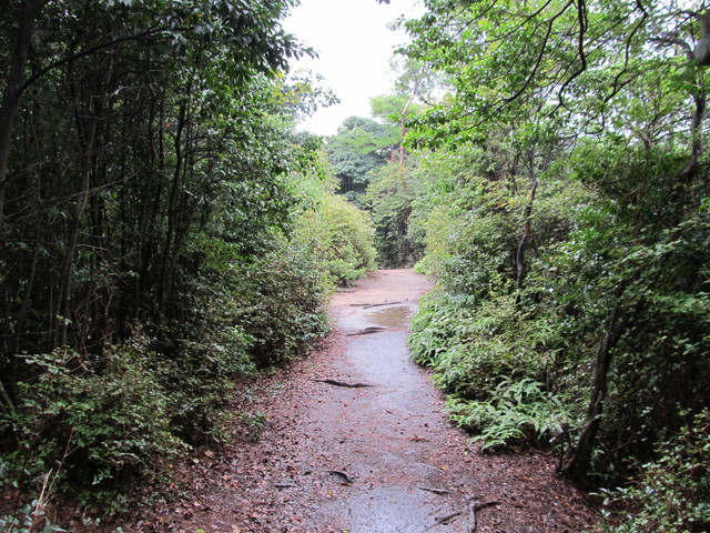 daimonji45.jpg