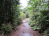 daimonji45_thumb.jpg