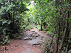 daimonji47_thumb.jpg