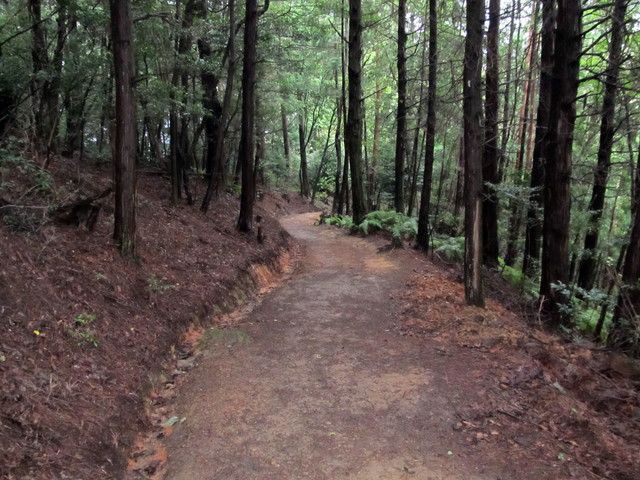 daimonji48.jpg
