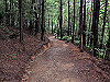 daimonji48_thumb.jpg