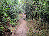 daimonji49_thumb.jpg
