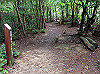 daimonji50_thumb.jpg