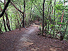 daimonji51_thumb.jpg