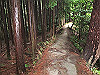 daimonji53_thumb.jpg