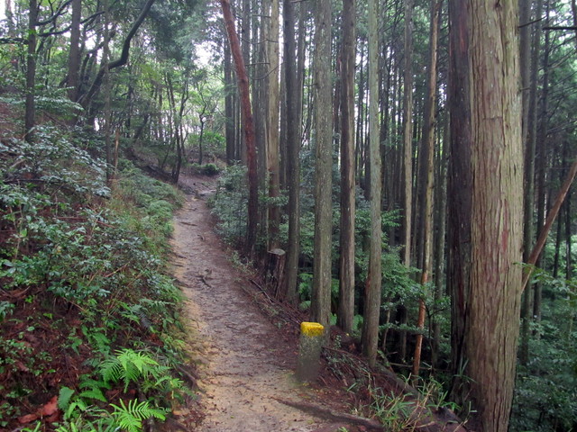 daimonji54.jpg