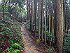 daimonji54_thumb.jpg
