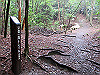 daimonji55_thumb.jpg