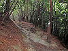 daimonji56_thumb.jpg
