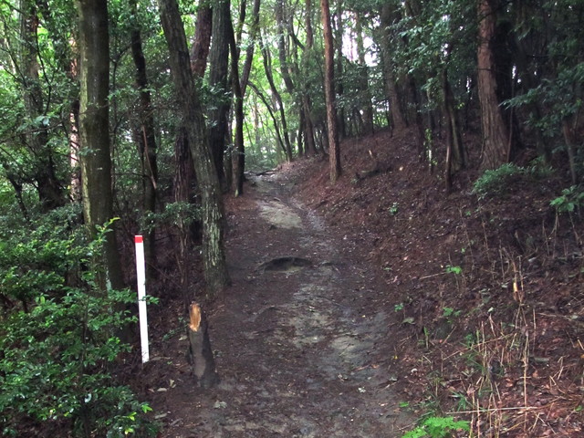 daimonji57.jpg