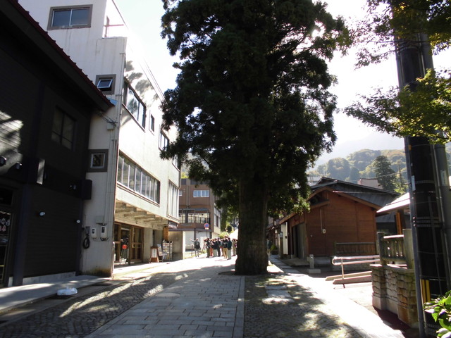 daisen014.jpg
